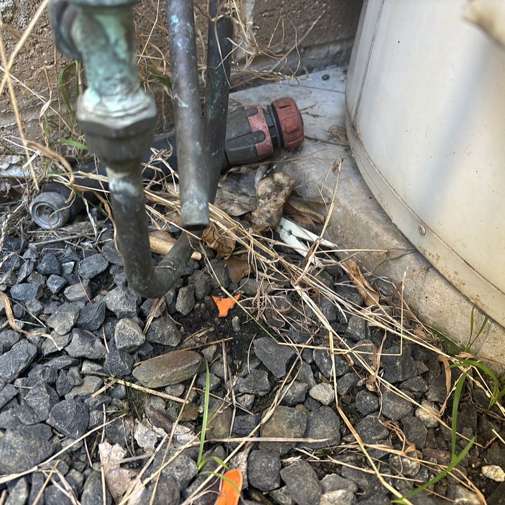 Damp, littered ground at the tap and downpipe where water collects against the house, found during a building and pest inspection in Pakenham