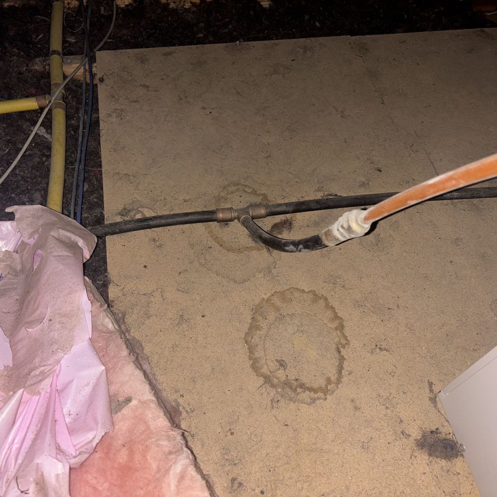 Damp, stains and structural soundness